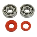 BEARING FOR CRANKSHAFT+SEALS FOR 50CC MOTORBIKE P2R FOR MINARELLI 50 AM6/MBK 50 X-POWER/YAMAHA 50 TZR/PEUGEOT 50 XPS, XR6/RIEJU 50 RS1, SMX/BETA 50 RR (KIT 6303 SKF STEEL C4/RED RACING SEAL)