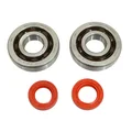 BEARING FOR CRANKSHAFT+SEALS FOR SCOOT P2R FOR PIAGGIO 50 ZIP 2T, TYPHOON, NRG/GILERA 50 STALKER, RUNNER (KIT SC04A47CS TPI POLYAMID/RED RACING SEAL)