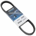 COURROIE SCOOT ADAPTABLE PEUGEOT 50 TKR, TREKKER, ELYSEO, LUDIX, VIVACITY, X-FIGHT, SPEEDFIGHT (765 x 17,5 x 8)  -DAYCO POWER-