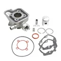 CYLINDER FOR SCOOT PEUGEOT 50 LUDIX ONE-TREND-SNAKE-CLASSIC, VIVACITY 2 Stroke 2008>, KISBEE 2 Stroke 2013>, CITYSTAR  -P2R CAST IRON PREMIUM-