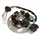 IGNITION STATOR FOR SCOOT CPI 50 ARAGON, HUSSAR, OLIVER, POPCORN (7 POLES - WITH PLATE)  -SELECTION P2R-