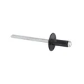 567642 - RIVET
