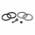 AP8213576 - KIT REVISIONE PINZA
