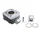 CYLINDER FOR SCOOT PIAGGIO 50 NRG 2000>/GILERA 50 RUNNER 2000>, DNA/APRILIA 50 SR L.C./DERBI 50 GP1 2000>  -P2R CAST IRON + GRAPHITE PISTON-