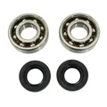 BEARING FOR CRANKSHAFT+SEALS FOR 50CC MOTORBIKE P2R FOR DERBI 50 SENDA, GPR/GILERA 50 SMT, RCR (ENGINE EURO 2 + EURO 3) (KIT 6204 SKF POLYAMID C4/NITRILE SEAL)