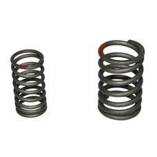 VALVE SPRING for 50CC - 4stroke : CHINESE GY6,139QMB/SYM 50 ORBIT /BAOTIAN 50 BT49QT /KYMCO 50 AGILITY /NORAUTO 50 RAZZO  (SOLD PER  2)  -P2R-