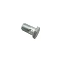 SCREW - FOR BRAKE SHOE "PIAGGIO GENUINE PART" 125 VESPA PX  -015510-