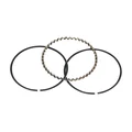 1A019531 - SCRAPER RING STANDARD