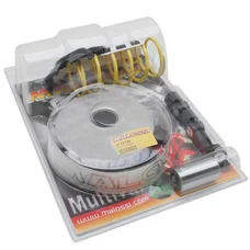 VARIATEUR MAXISCOOTER MALOSSI MULTIVAR 2000 SPORT POUR LINHAI 125 MONARCH 4T - 150 MONARCH 4T/WT MOTORS 150 KAYMAN WT 4T (1P57QMJ)