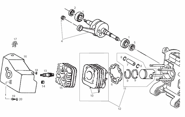 Arbre moteur