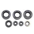 OIL SEAL (FULL SET) FOR DERBI 50 SENDA 2006>, GPR/GILERA 50 SMT, RCR 2006> ( PIAGGIO EURO 3) (7 ITEMS)  -SELECTION P2R-
