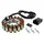 STATOR ALLUMAGE MOTO ADAPTABLE KAWASAKI 750 Z750 2007>2012, 800 Z800 2013>2015, 1000 Z1000 2007>2009 (18 POLES) (OEM: 210030133) -MAGNETI MARELLI