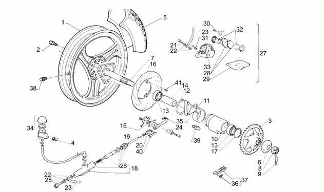 Roue arrière