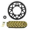 CHAIN AND SPROCKET KIT FOR SHERCO 50 SM R 2021>  428  13x60  (DIAM COURONNE 110/125/8.5)  (OEM SPECIFICATION)  -AFAM-