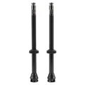 VALVE DE PNEU TUBELESS SCHWALBE CLICK VALVE 80 mm OBUS DEMONTABLE (VENDU A LA PAIRE SUR CARTE)