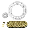 KIT CHAINE ADAPTABLE SUZUKI 125 DR SM 2008>2013  428  16x50  (DIAM COURONNE 126/146/8.5)  (DEMULTIPLICATION ORIGINE)  -AFAM-