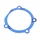 129001014 - JOINT CYLINDRE/CARTER