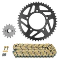 CHAIN AND SPROCKET KIT FOR DUCATI 797 MONSTER 2017>2019  520  15x46  (Ø SPROCKET 100/124/10.5)  (OEM SPECIFICATIONS)  -AFAM-