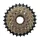 ROUE LIBRE 8V. P2R 13-28 BRONZE/NOIR