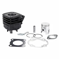 CYLINDER FOR SCOOT MBK 50 NITRO/YAMAHA 50 AEROX/APRILIA 50 SR/MALAGUTI 50 F15/RIEJU 50 FIRST/BETA 50 ARK/ITALJET 50 DRAGSTER  - CAST IRON - AIRSAL-