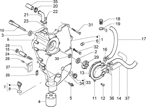 Carter Volant-Filtre A Huile