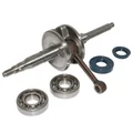 EMBIELLAGE/VILEBREQUIN SCOOT ADAPTABLE MBK 50 NITRO, OVETTO 2T, MACH G/YAMAHA 50 AEROX, NEOS 2T, JOG/APRILIA 50 SR/MALAGUTI 50 F12 (AVEC ROULEMENTS + JOINTS)  -TOP PERF TYPE ORIGINE-