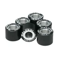 GALET/ROULEAU MAXISCOOTER MALOSSI 19x17 12,5g (x6)  POUR PIAGGIO 125 BEVERLY, FLY, LIBERTY, MP3, YOURBAN VESPA LX ET GTS, X10, x9, X8, X7, X-EVO (669456SM)