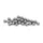 BILLE 5,556 (7/32”) WELDTITE (SACHET DE 24 BILLES)