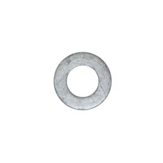 AP8150101 - WASHER