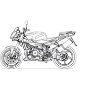 Tuono 1000 RSV 1000 Tuono 2006-2009