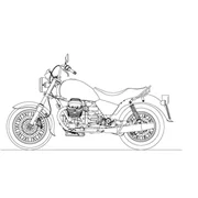 California 1100 California Aquila Nera 1100 2009-2011