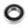 ROULEMENT BLACKBEARING B3 21.5x31-7mm (6004-2rs / 21.5)