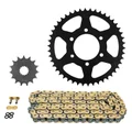 KIT CHAINE ADAPTABLE CF MOTO 650 MT 2012>2020 520 15x46 (DIAM COURONNE 80/104/10.50) (DEMULTIPLICATION ORIGINE) -AFAM