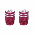 BOUCHON DE VALVE VICMA TO COOL MOLETE VIOLET  (PAIRE)