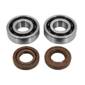 BEARING FOR CRANKSHAFT+SEALS FOR 50CC MOTORBIKE ARTEK FOR DERBI 50 SENDA, GPR/GILERA 50 SMT, RCR ( EURO 2 + EURO 3 ENGINE)  (BEARING KIT 6204 TPI POLYAMID C4 +  VITON SEALS)