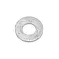 1A000427 - RONDELLE PLATE