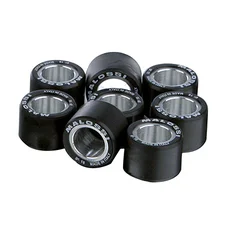 GALET/ROULEAU MAXISCOOTER MALOSSI 28,2x19,9  24,0g (x8) (6615437C0)
