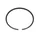 1A019530 - OIL SEAL STANDARD