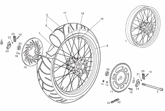 Roue arrière