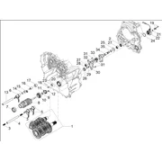 Boîte de vitesses / Selecteur / Desmodromique