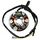 IGNITION STATOR FOR 50CC MOTORBIKE MINARELLI 50 AM6 (DUCATI, LONG BUNDLE)  -TOP PERFORMANCE