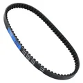 COURROIE SCOOT POLINI ORIGINAL POUR PIAGGIO 50 ZIP 4T 3V 2021>, VESPA PRIMAVERA 4T 2018>, VESPA SPRINT 3V 2021> (248.135)
