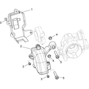 Protection Corps à papillon