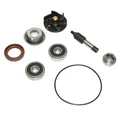 KIT REPARATION POMPE A EAU MAXISCOOTER ADAPTABLE PIAGGIO 250 MP3 2006>, X7 2007>, 300 MP3 2010>, X7 2009>, VESPA GTS 2008>, BEVERLY 2010>, YOURBAN 2011>, 125 VESPA GTS 2006> (KIT)  -P2R-