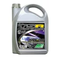 OIL FOR 4 STROKE ENGINE MINERVA AUTO SYNTHETIC TSR  5W30 (100% SYNTHETIC FOR DIESEL AND PETROL ENGINES WITH DPF) (5L)