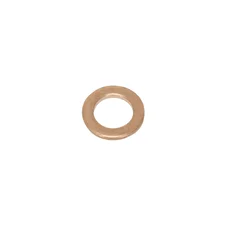 DRAIN PLUG GASKET - BRASS Ø 10x16x1.50  (SOLD PER UNIT)  -P2R-