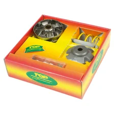 VARIATEUR SCOOT ADAPTABLE PIAGGIO 50 ZIP 2T-NRG-TYPHOON-FLY-VESPA LX / GILERA 50 RUNNER-STALKER-ICE-DNA (GALETS 19x15,5mm) (LIVRE AVEC RESSORT)    -TOP PERFORMANCES-