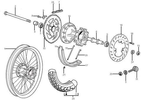 Roue arrière