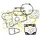 JOINT MOTEUR MOTO CROSS ADAPTABLE GAS GAS 200-250-300 EC 1998>2004  (POCHETTE COMPLETE)  -XRADICAL-