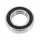 WHEEL BEARING 60/32 2RS (32 x 58 x 13 mm) (sold per unit) -SELECTION P2R